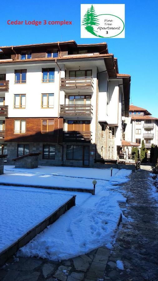 Pine Tree Apartment 3 - B3 Bansko Exterior foto